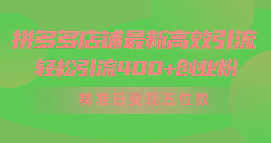 (10041期)拼多多店铺最新高效引流术，轻松引流400+创业粉，精准日变现五位数！-博库