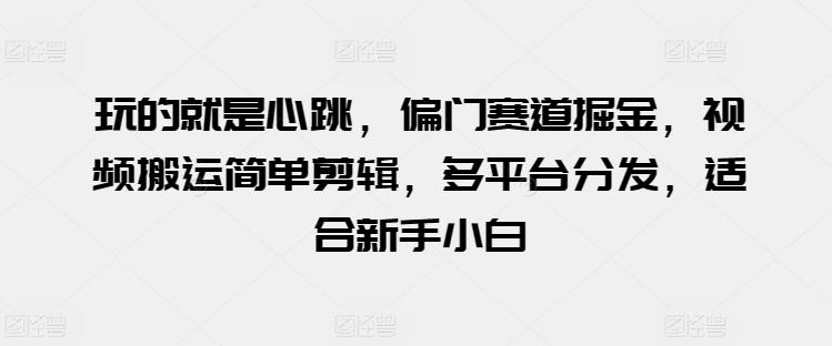 玩的就是心跳，偏门赛道掘金，视频搬运简单剪辑，多平台分发，适合新手小白【揭秘】-博库