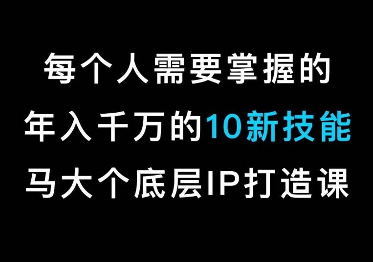 马大个的IP底层逻辑课，​每个人需要掌握的年入千万的10新技能，约会底层IP打造方法！-博库