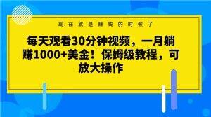 每天观看30分钟视频，一月躺赚1000+美金！保姆级教程，可放大操作【揭秘】-博库