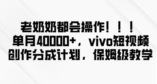 老奶奶都会操作，新平台无脑操作，单月40000+，vivo短视频创作分成计划【揭秘】-博库