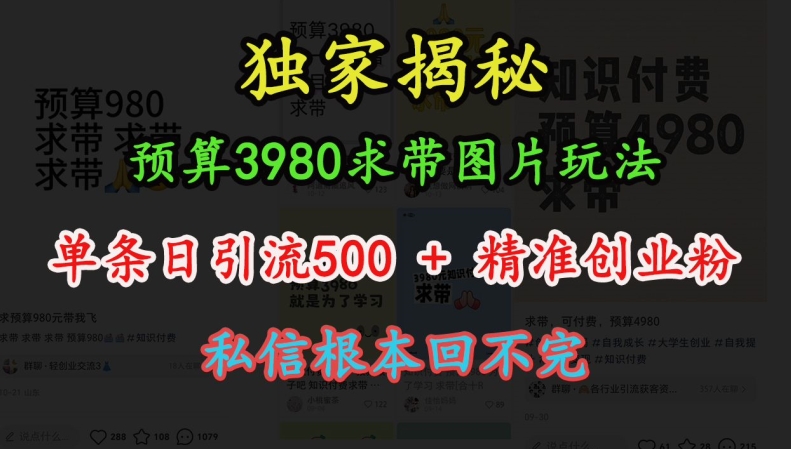 预算3980求带 图片玩法，单条日引流500+精准创业粉，私信根本回不完-博库