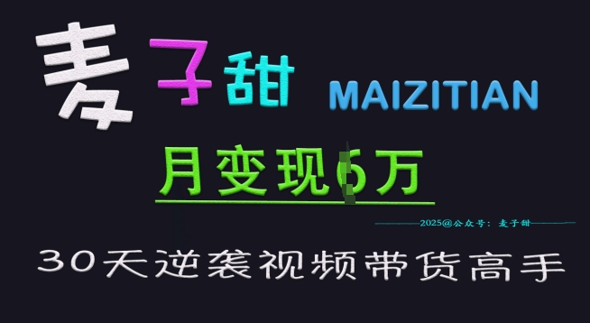 麦子甜30天逆袭视频带货高手，单月变现6W加特训营-博库