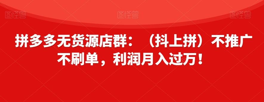 拼多多无货源店群：（抖上拼）不推广不刷单，利润月入过万！【揭秘】-博库