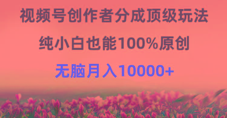 (9608期)视频号创作者分成顶级玩法，纯小白也能100%原创，无脑月入10000+-博库