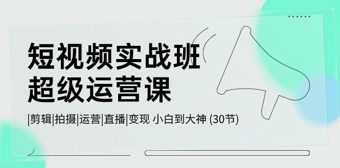 短视频实战班超级运营课 |剪辑|拍摄|运营|直播|变现 小白到大神 (30节)-博库