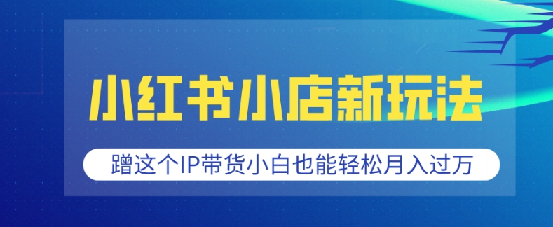 小红书小店新玩法，蹭这个IP带货，小白也能轻松月入过W【揭秘】-博库