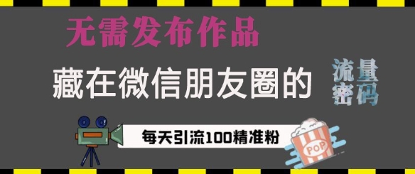 藏在微信朋友圈的流量密码，无需发布作品，单日引流100+精准创业粉【揭秘】-博库