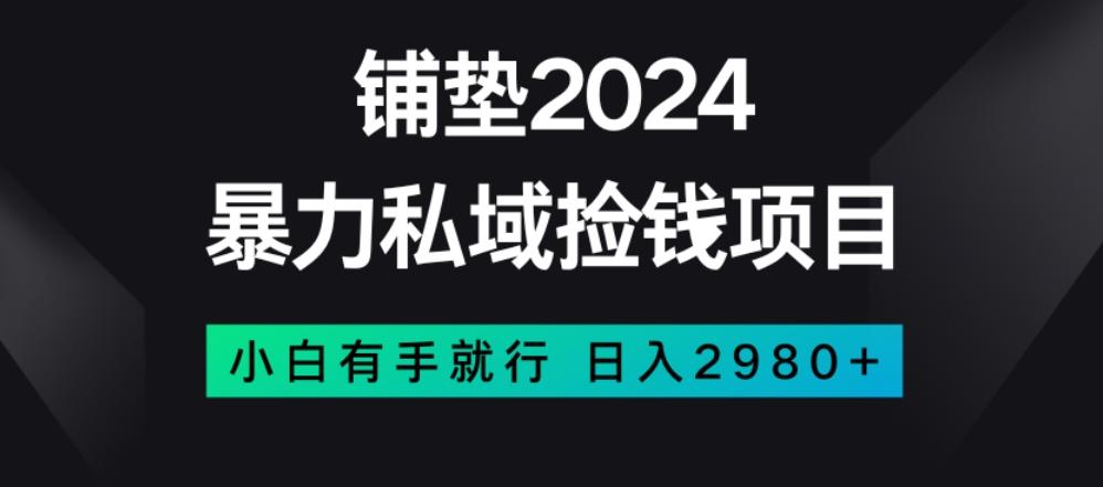 暴力私域捡钱项目，小白无脑操作，日入2980【揭秘】-博库