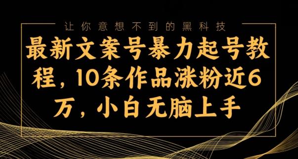 最新文案号暴力起号教程，10条作品涨粉近6万，小白无脑上手-博库