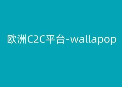 欧洲C2C平台-wallapop-kim跨境电商教程-博库