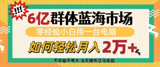 6亿群体蓝海市场，零经验小白用一台电脑，如何轻松月入过w【揭秘】-博库