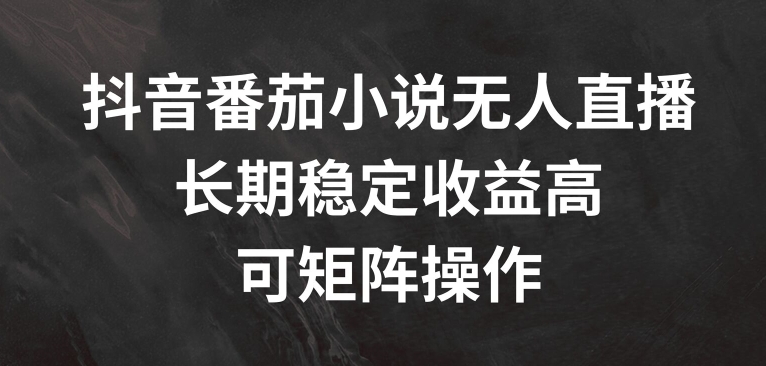 抖音番茄小说无人直播，长期稳定收益高，可矩阵操作【揭秘】-博库