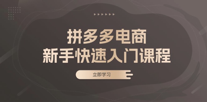 拼多多电商新手快速入门课程：涵盖基础、实战与选款，助力小白轻松上手-博库