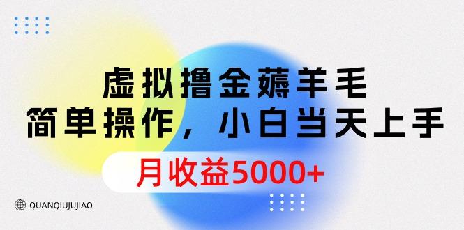 (9864期)虚拟撸金薅羊毛，简单操作，小白当天上手，月收益5000+-博库