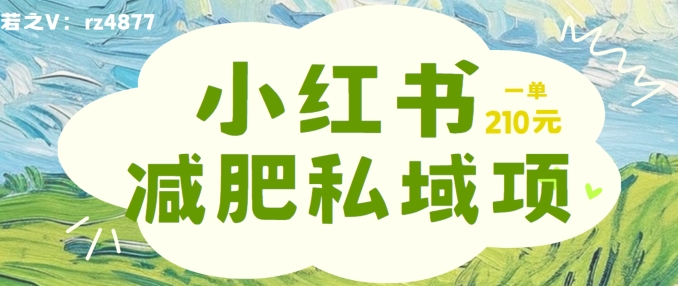 小红书减肥粉，私域变现项目，一单就达210元，小白也能轻松上手【揭秘】-博库