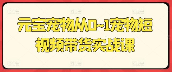 元宝宠物从0~1宠物短视频带货实战课-博库