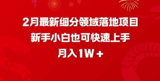 2月最新细分领域落地项目，新手小白也可快速上手，月入1W-博库