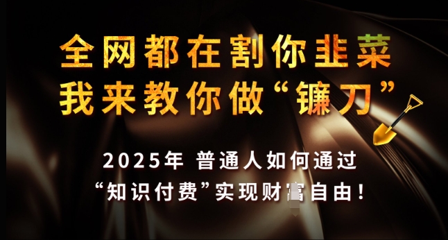 全网都在割你韭菜，我来教你做镰刀，2025年普通人如何通过 知识付费 实现财F自由【揭秘】-博库