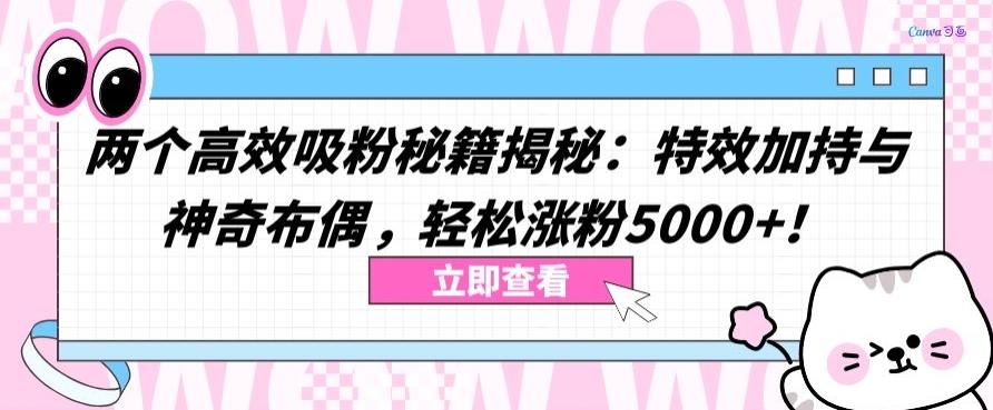 两个高效吸粉秘籍揭秘：特效加持与神奇布偶，轻松涨粉5000+【揭秘】-博库