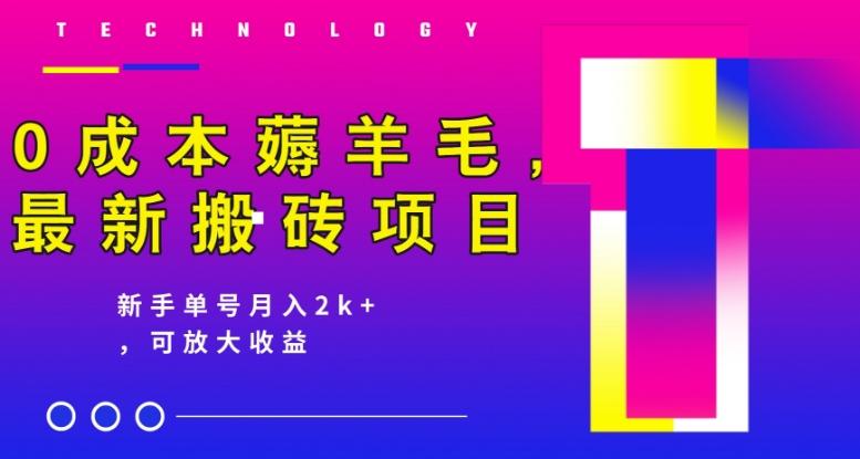 0成本薅羊毛，最新搬砖项目，新手单号月入2k+，可放大操作-博库