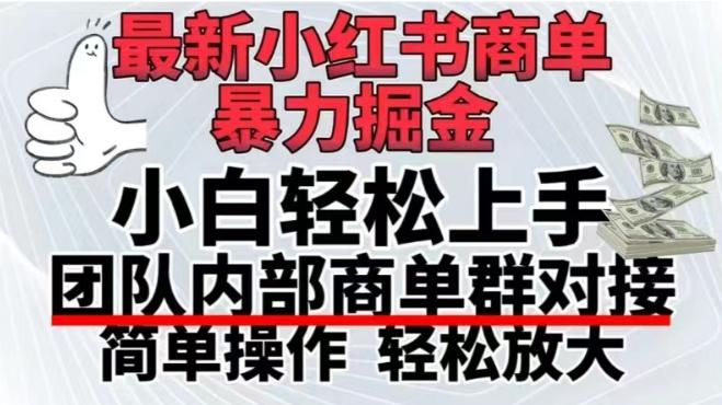 最新小红书商单，暴力掘金，单月稳定变现3W+-博库