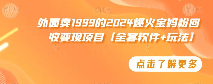 外面卖1999的2024爆火宝妈粉回收变现项目【全套软件+玩法】【揭秘】-博库