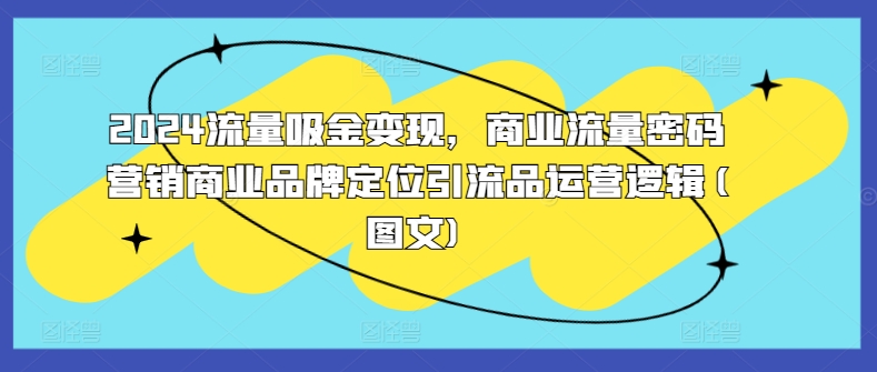 2024流量吸金变现，商业流量密码营销商业品牌定位引流品运营逻辑(图文)-博库