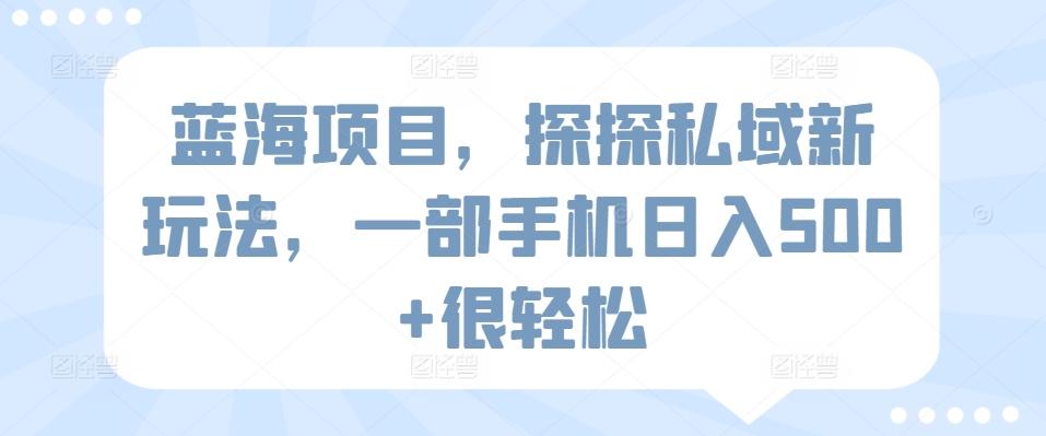 蓝海项目，探探私域新玩法，一部手机日入500+很轻松【揭秘】-博库