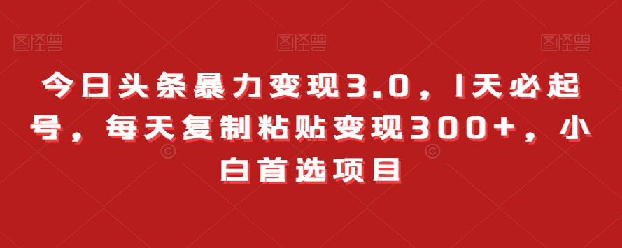 今日头条暴力变现3.0，1天必起号，每天复制粘贴变现300+，小白首选项目-博库