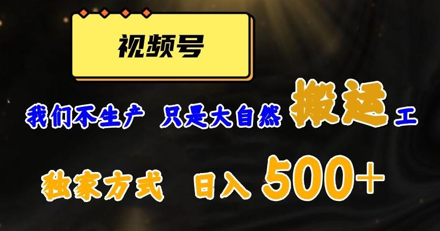 视频号轻松搬运日赚500+，一个1分钟1条原创视频【揭秘】-博库