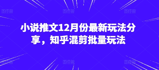 小说推文12月份最新玩法分享，知乎混剪批量玩法-博库