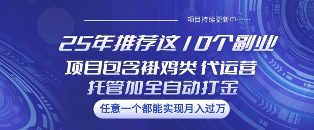 25年推荐这10个副业项目包含褂鸡类、代运营托管类、全自动打金类【揭秘】-博库