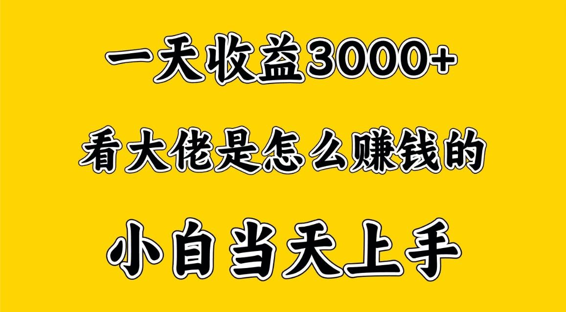 一天赚3000多，大佬是这样赚到钱的，小白当天上手，穷人翻身项目-博库