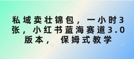 私域卖壮锦包，一小时3张，小红书蓝海赛道3.0版本， 保姆式教学-博库
