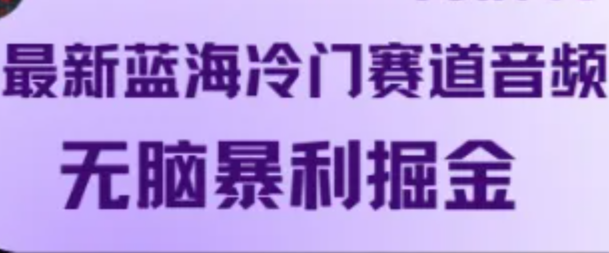 最新蓝海冷门赛道音频，无脑暴利掘金-博库