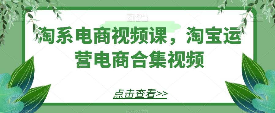 淘系电商视频课，淘宝运营电商合集视频-博库