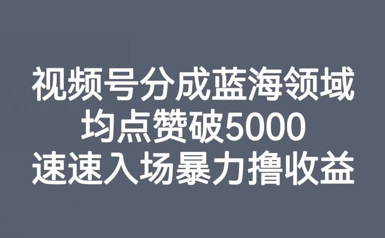 视频号分成蓝海领域，均点赞破5000，速速入场暴力撸收益-博库