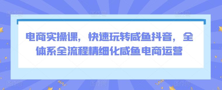 电商实操课，快速玩转咸鱼抖音，全体系全流程精细化咸鱼电商运营-博库