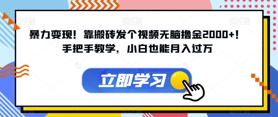 暴力变现！靠搬砖发个视频无脑撸金2000+！手把手教学，小白也能月入过万【揭秘】-博库