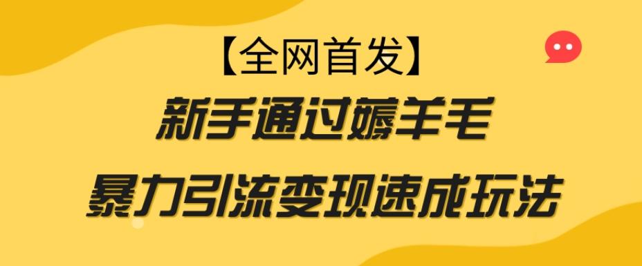 【全网首发】新手通过薅羊毛暴力引流变现速成玩法-博库