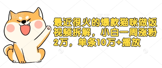 最近很火的爆款猫咪做饭视频拆解，小白一周涨粉2万，单条10万+播放(附保姆级教程)-博库