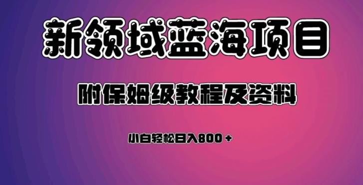 虚拟资源蓝海领域新项目，轻松日入800＋，附保姆级教程及资料-博库