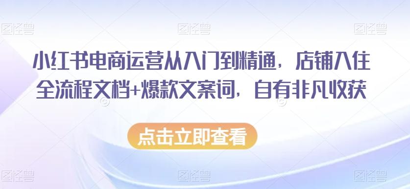 小红书电商运营从入门到精通，店铺入住全流程文档+爆款文案词，自有非凡收获-博库