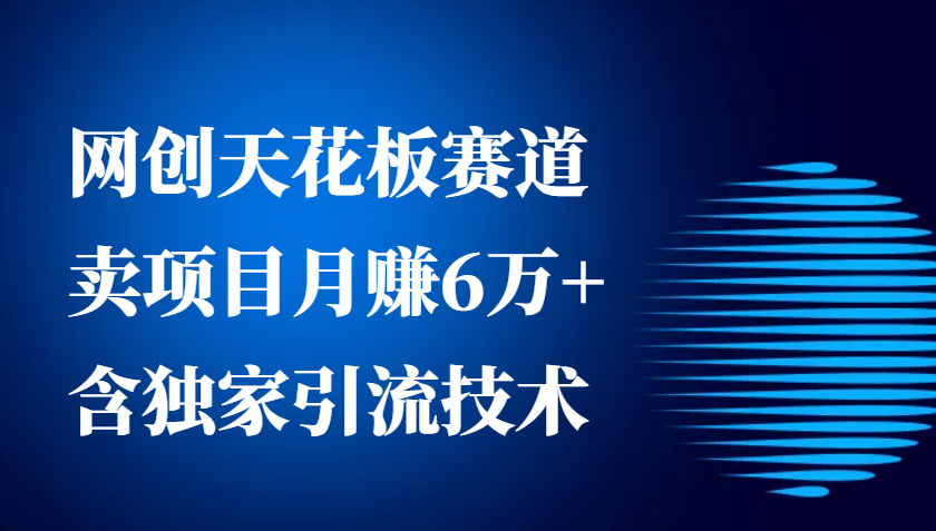 网创天花板赛道，卖项目月赚6万+，含独家引流技术(共26节课)-博库