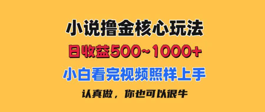 小说撸金核心玩法，日收益500-1000+，小白看完照样上手，0成本有手就行-博库