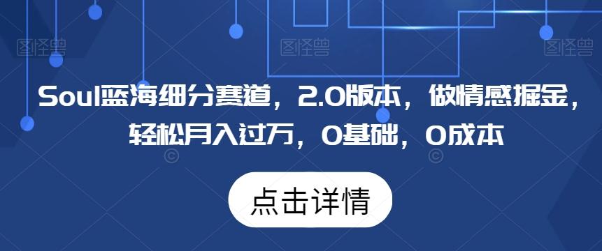 Soul蓝海细分赛道，2.0版本，做情感掘金，轻松月入过万，0基础，0成本-博库