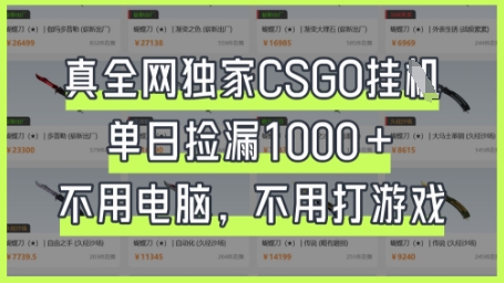 真全网独家CSGO挂G，单日捡漏1k+【揭秘】-博库
