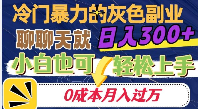 冷门暴利的副业项目，聊聊天就能日入300+，0成本月入过万【揭秘】-博库