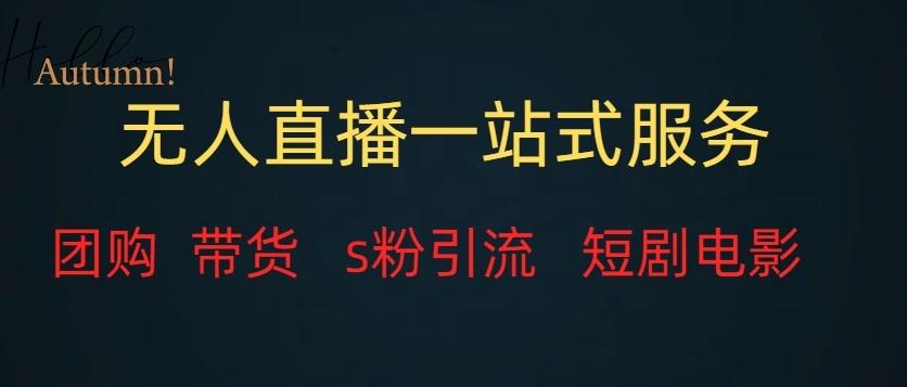 无人直播一站式服务（教程以及变现方式）-博库